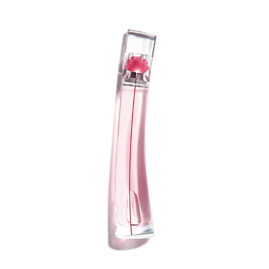 Kenzo 50ml price orlando top