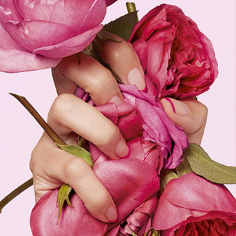 flower poppy bouquet