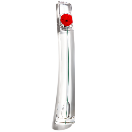 Perfume kenzo que significa top