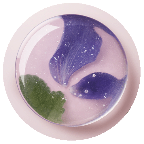 Extrait de Grande Mauve d’origine naturelle