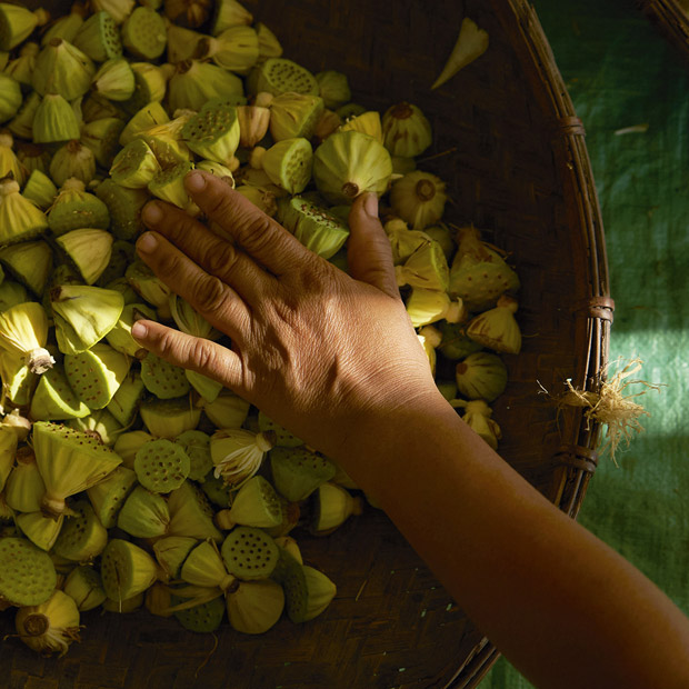 UNIVERS KENZO | Kenzo Parfums