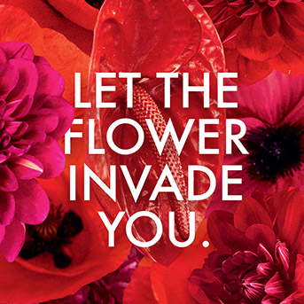 kenzo flower rojo instagram